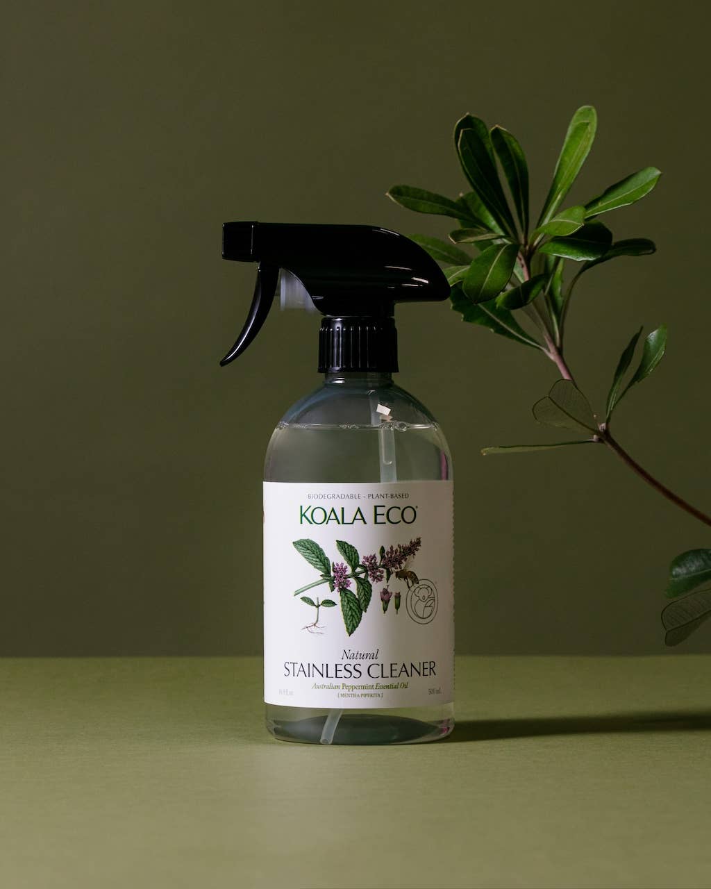 Peppermint Stainless Cleaner
