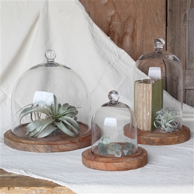 Glass Dome - Lrg - Clear