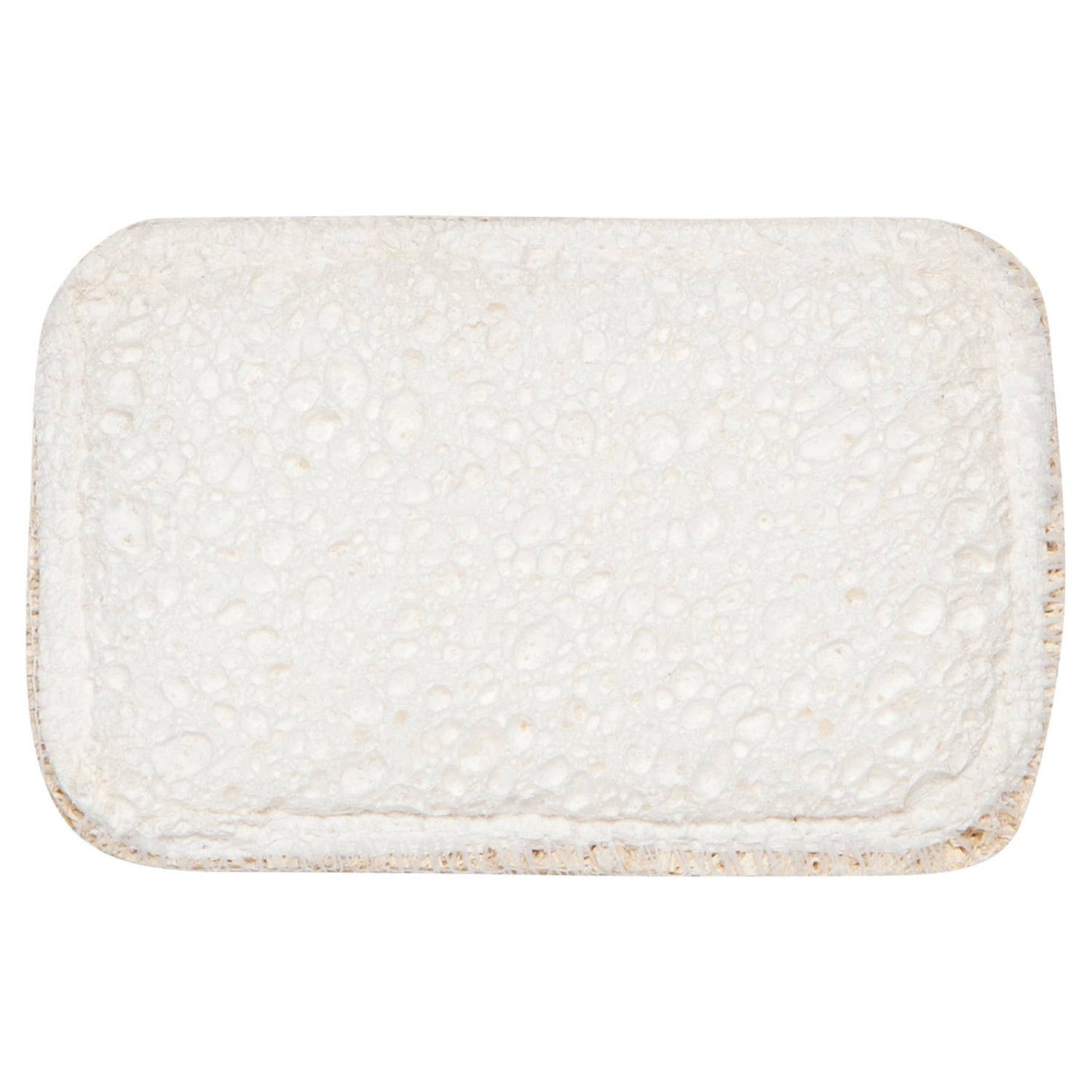 Dish Sponge