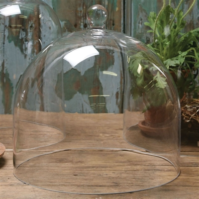 Glass Dome - Lrg - Clear