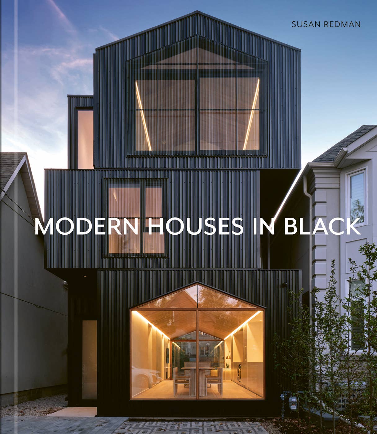 MODERN HOUSES IN BLACK