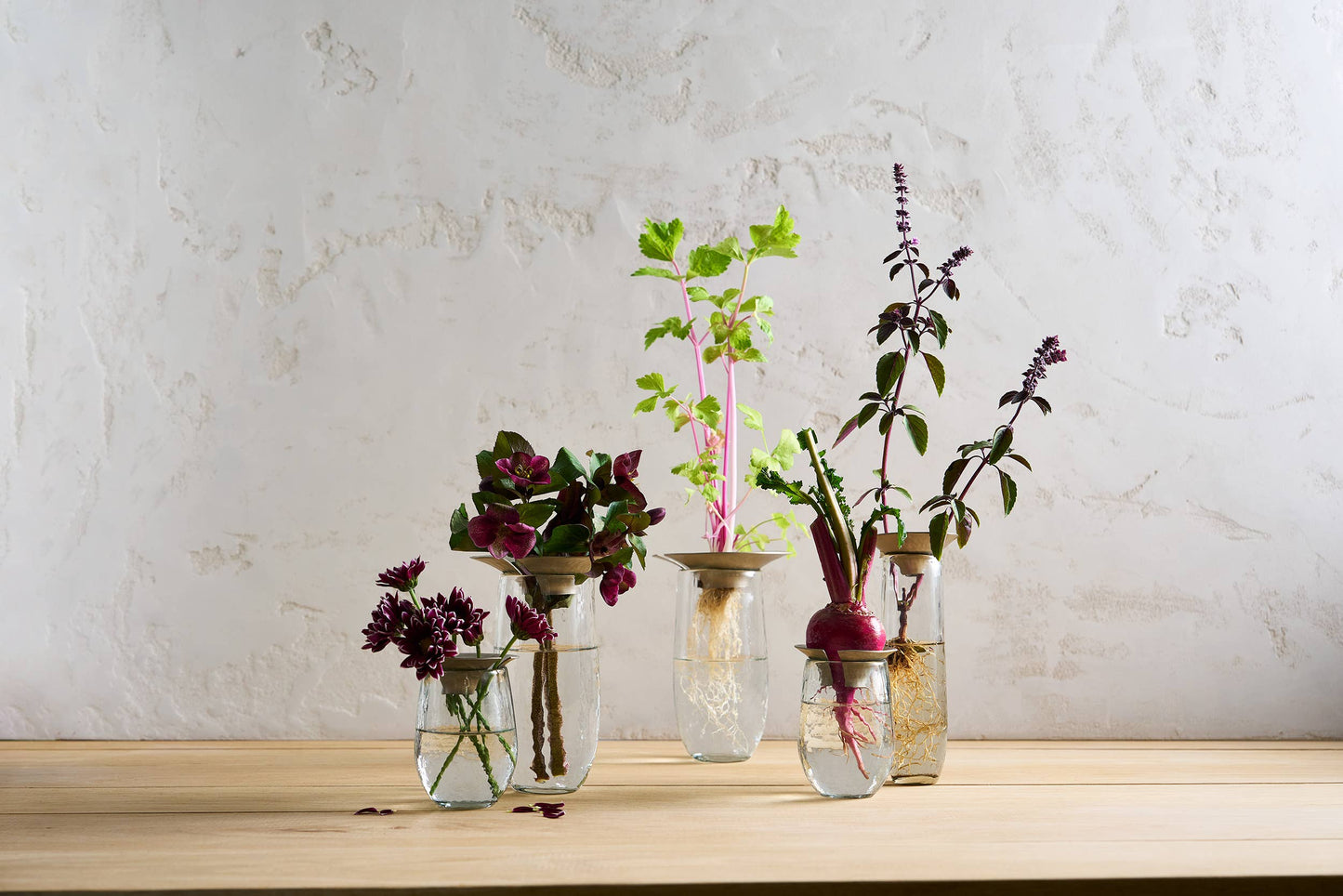 Floral Propogate Assorted