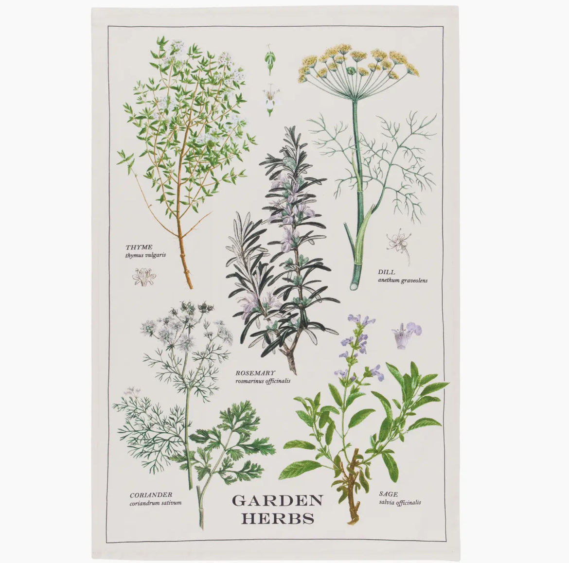 Garden Herb Towel