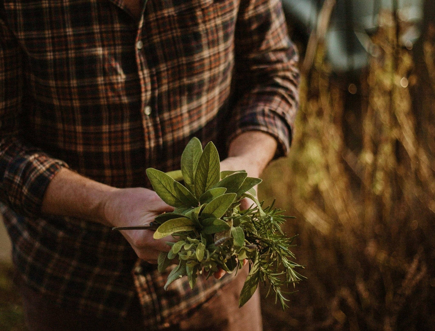 Garden Sage Hand Wash
