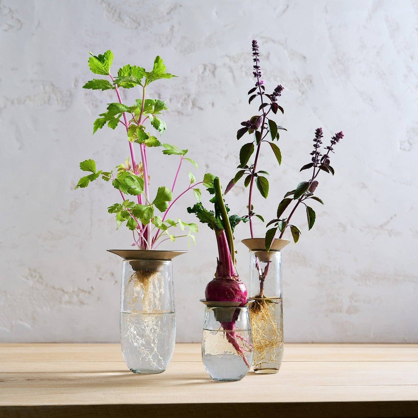 Floral Propogate Assorted