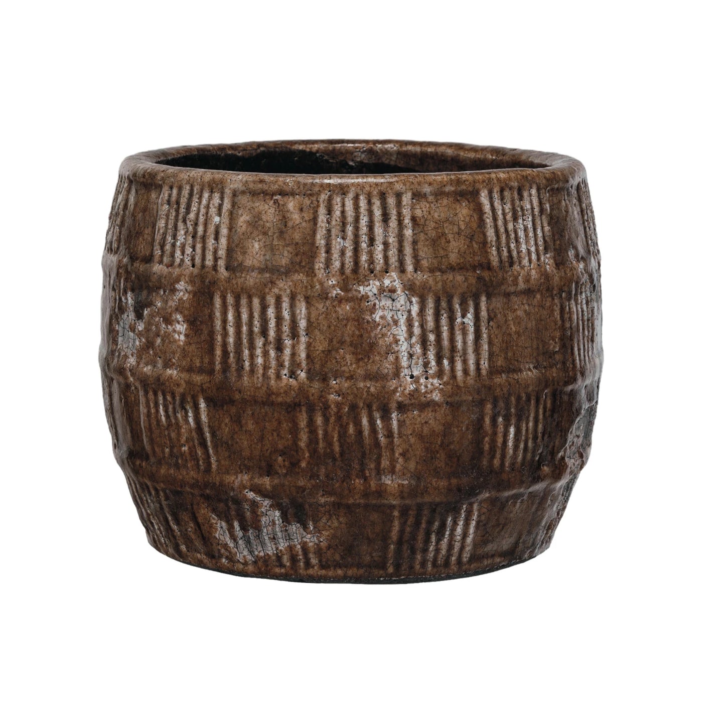 Terra Cotta Pot with Plant