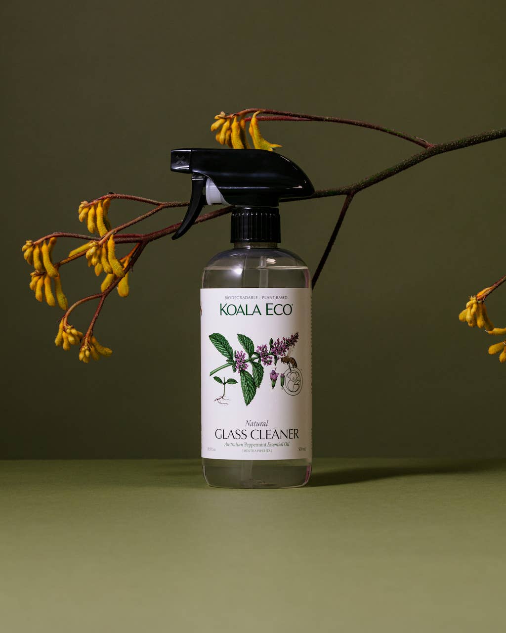 Peppermint Glass Cleaner
