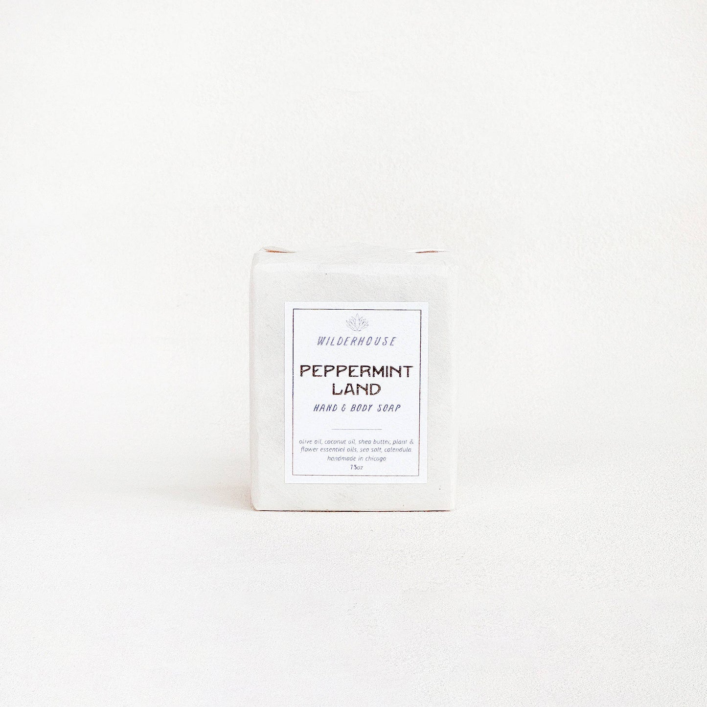 Peppermint Land Hand & Body Soap