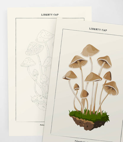 Mushroom Botanical | Modern Paint By Numbers Kit
