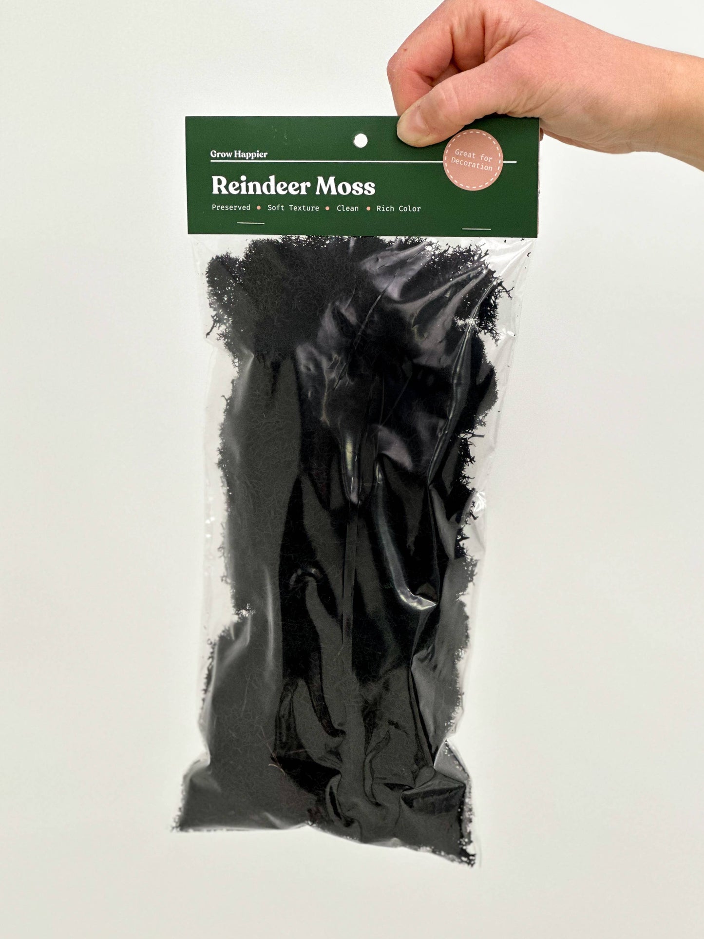 Preserved Reindeer Moss - 90g Bag