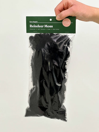 Preserved Reindeer Moss - 90g Bag