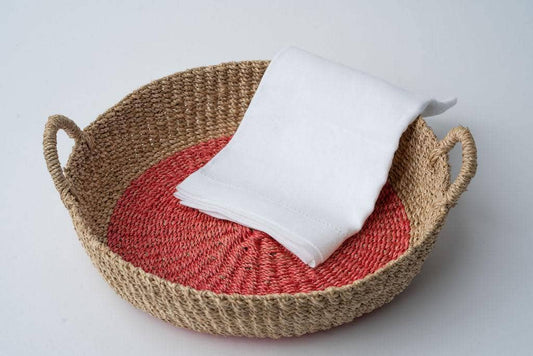 Iris Tray | Salmon Pink