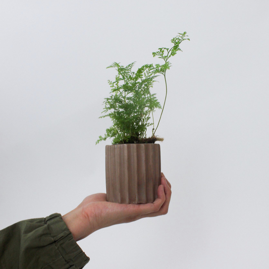 Ribbed Vessel Planter