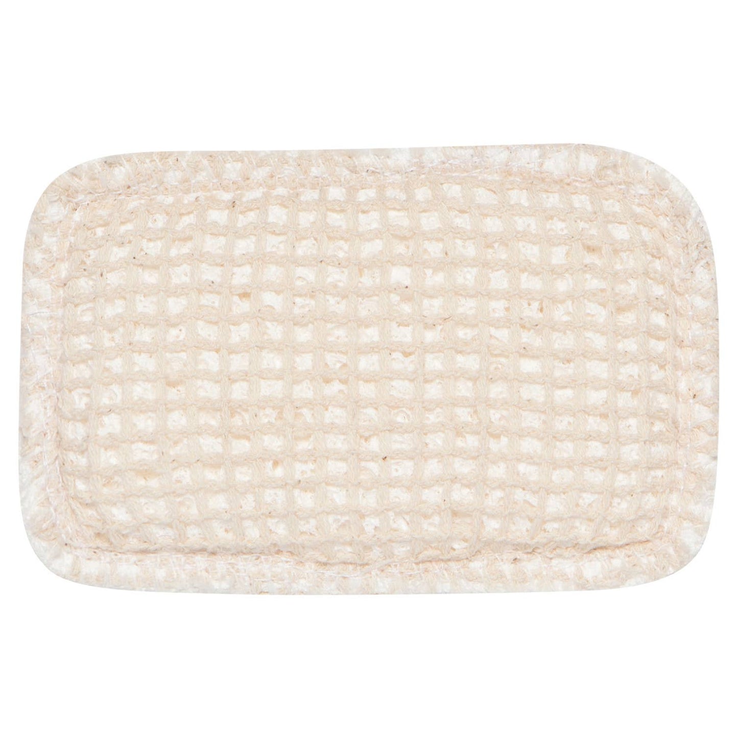 Dish Sponge