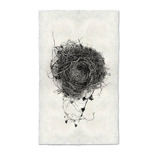 Framed Nest Study #3