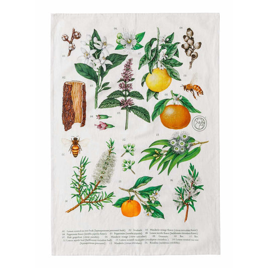Tea Towel - Terra Botanica