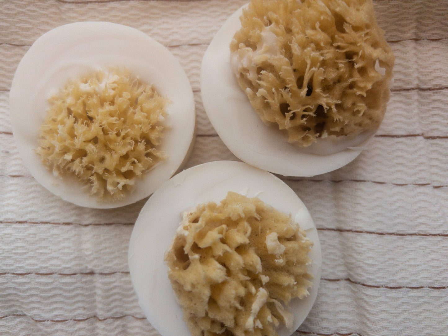 Salt & Sea Soleseife Brine Sea Sponge Palm Free Soap