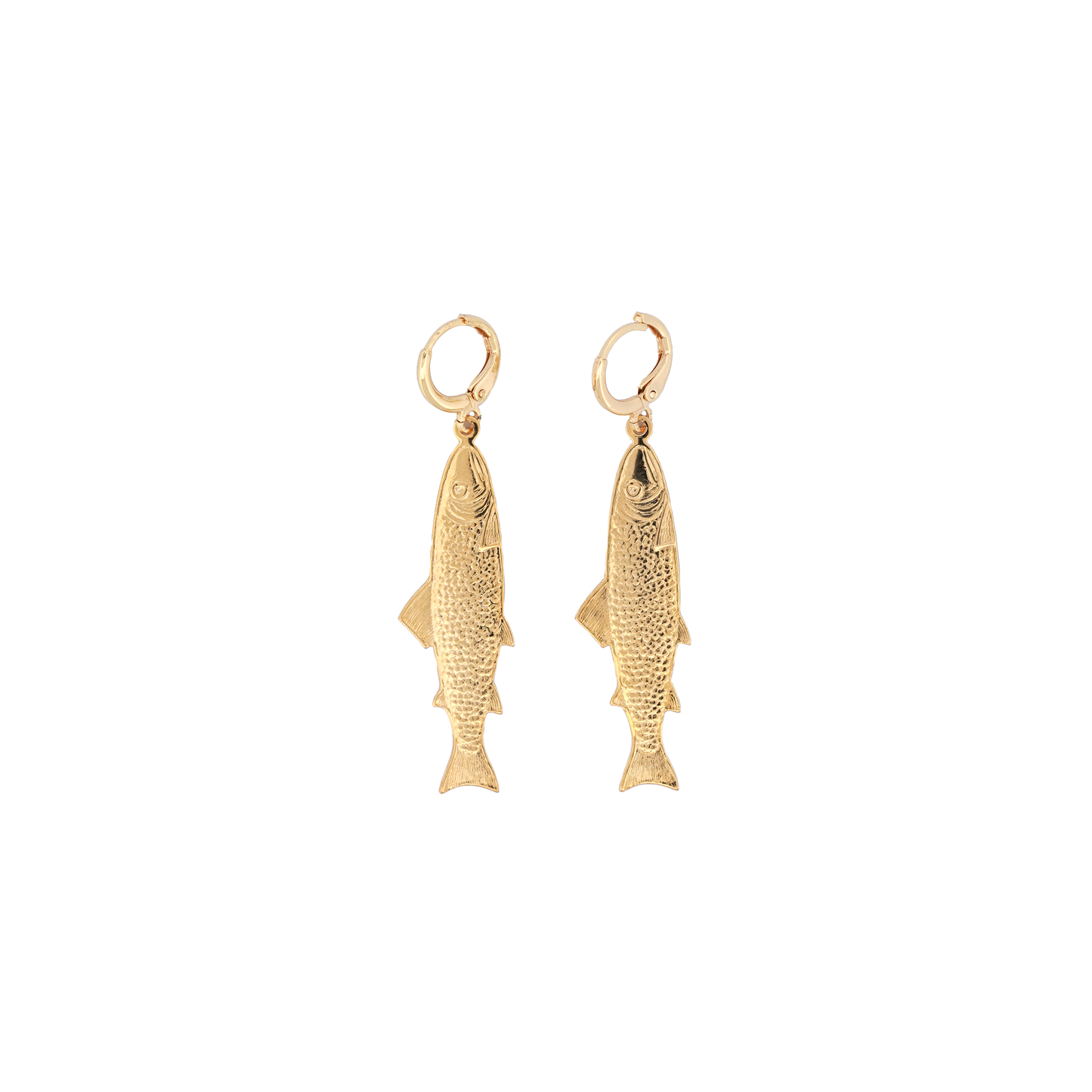 Pesce Hoops