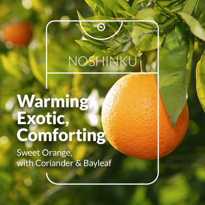 Refillable Orange Coriander Moisturizing Hand Sanitizer