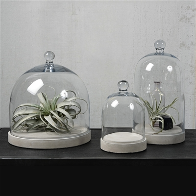 Glass Dome - Lrg - Clear