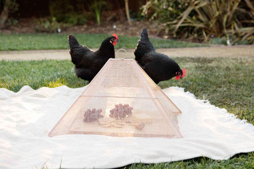 Collapsible Woven Food Tent Cover