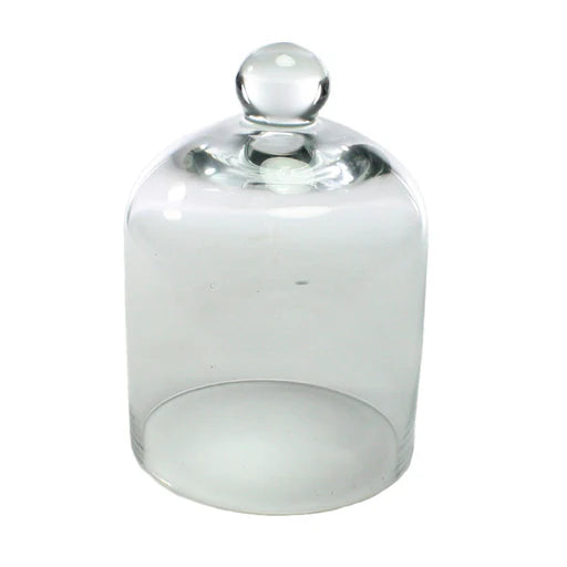 Glass Dome - Small