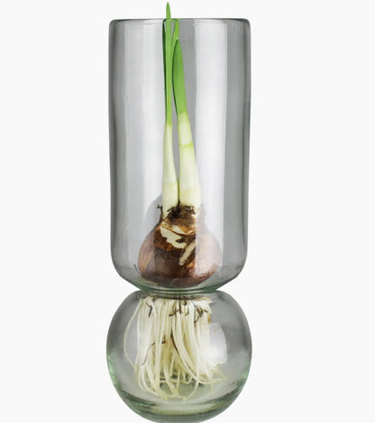 Bulb Vase, Tall - Recycled