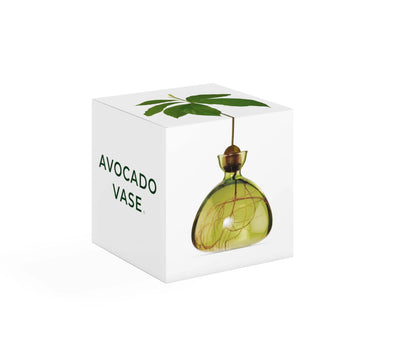 Avocado Vase