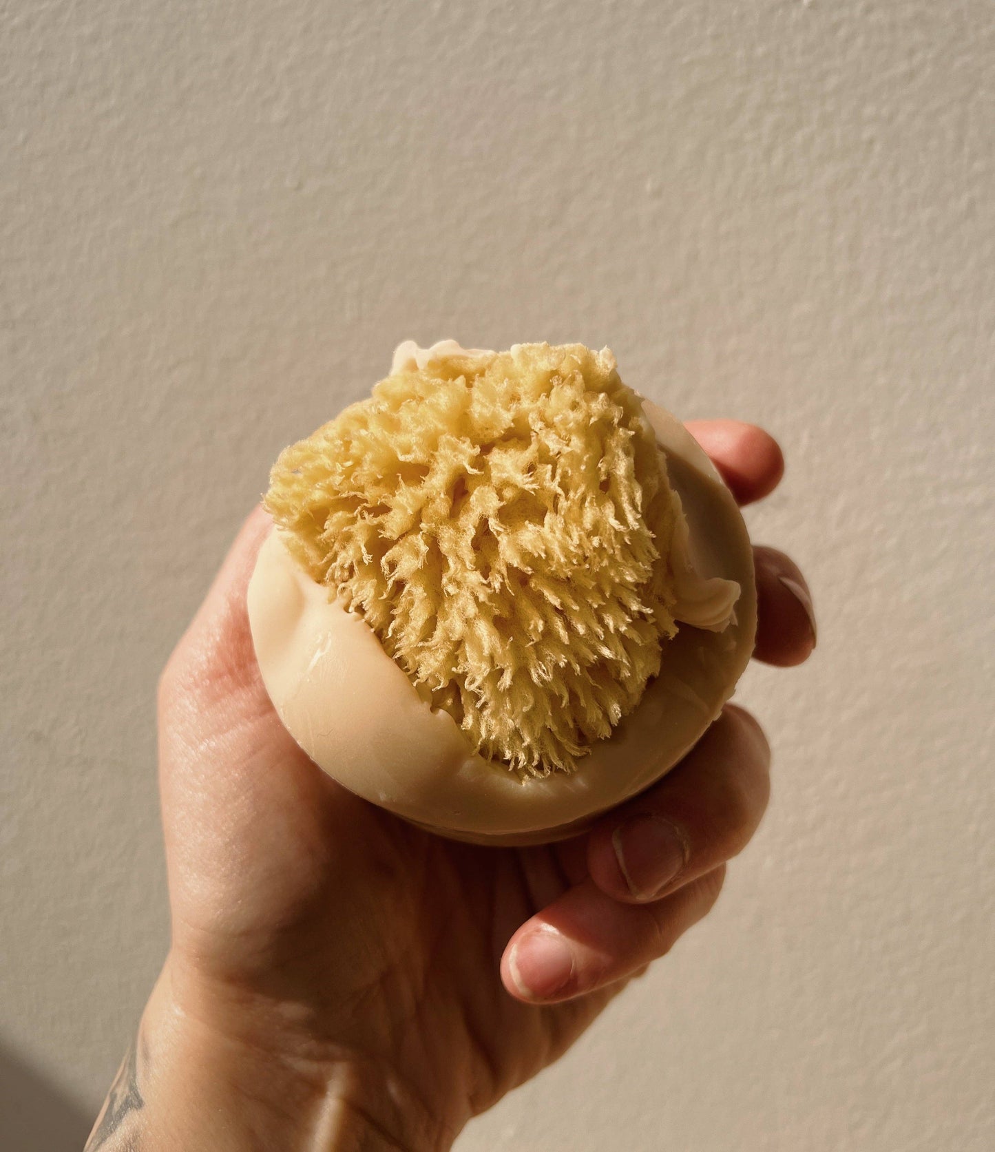 Santal Beach Coconut Milk Sea Sponge Soap