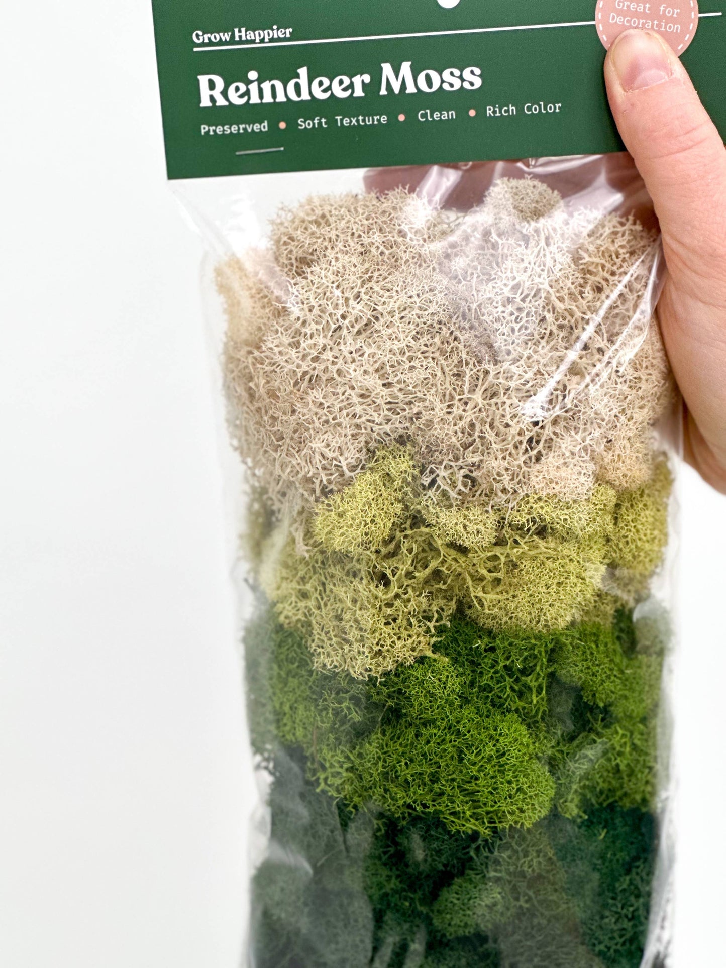 Preserved Reindeer Moss - 90g Bag
