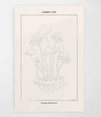 Mushroom Botanical | Modern Paint By Numbers Kit