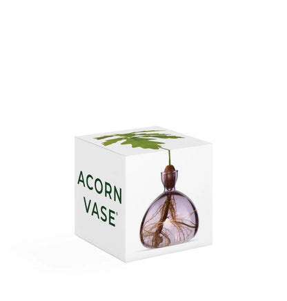 Acorn Vase
