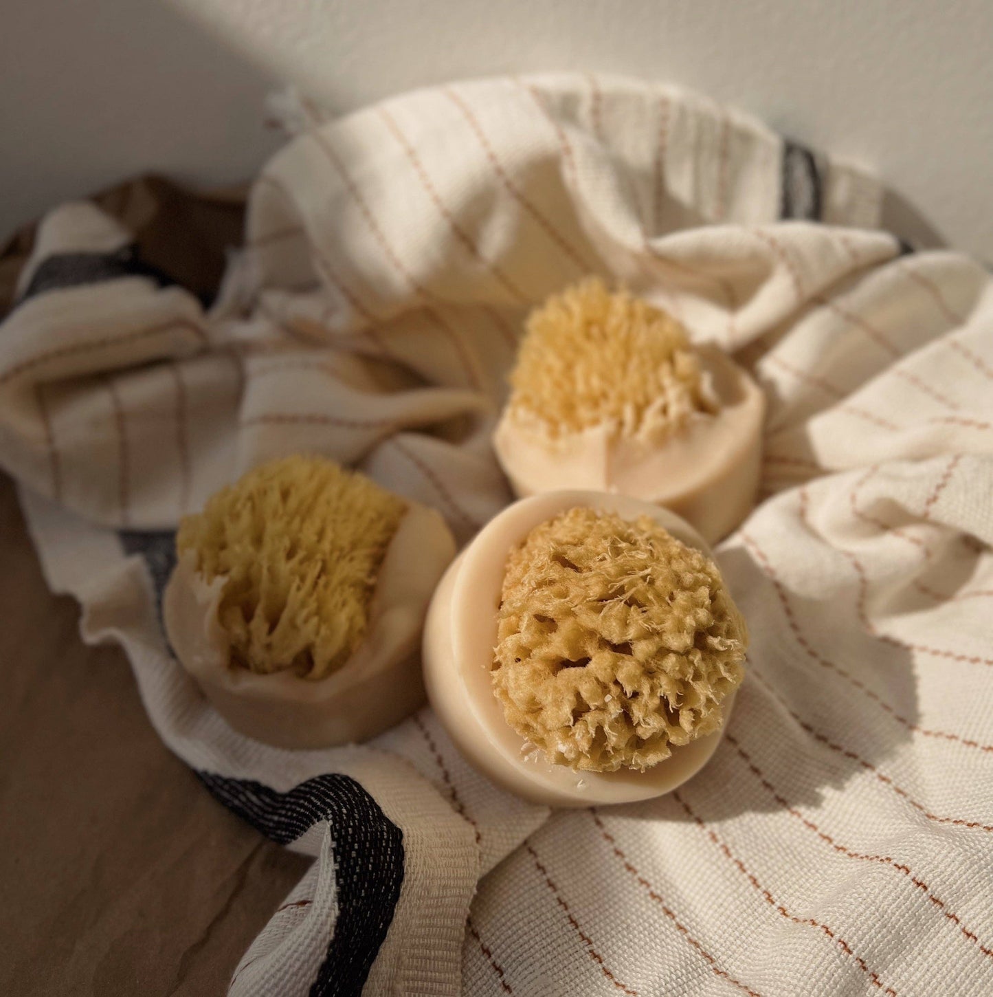 Santal Beach Coconut Milk Sea Sponge Soap