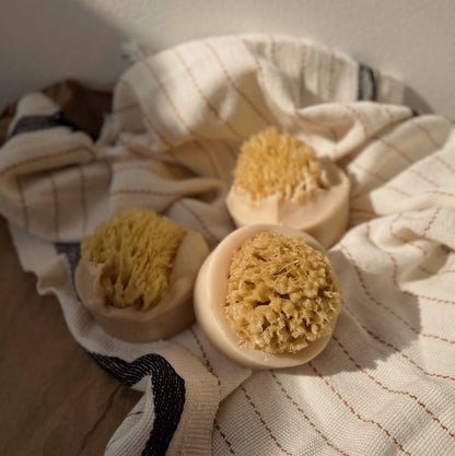 Santal Beach Coconut Milk Sea Sponge Soap