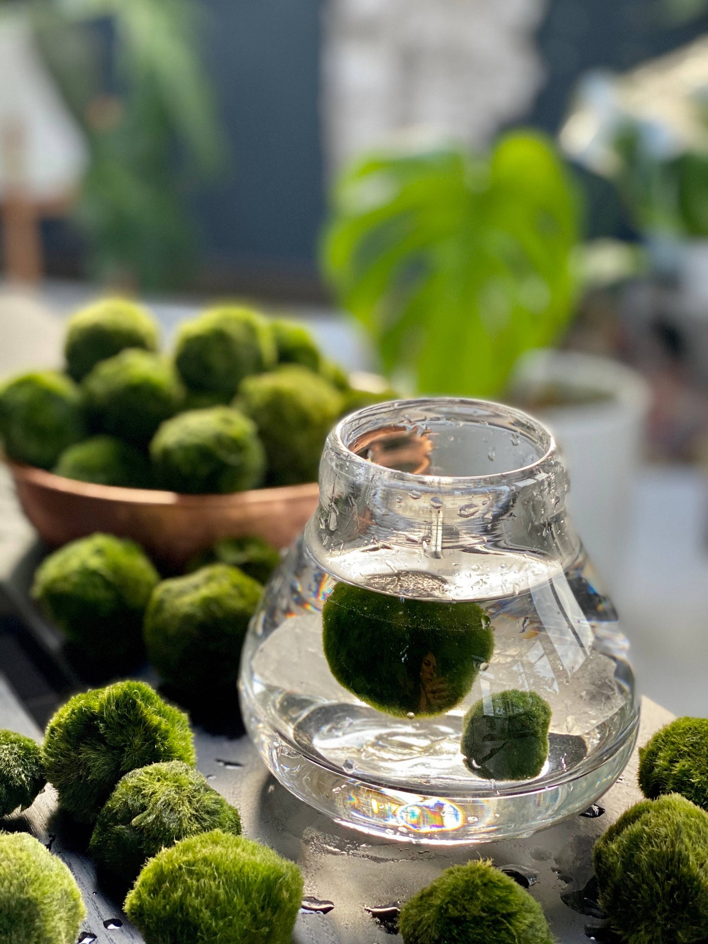 Marimo Salt (4oz)