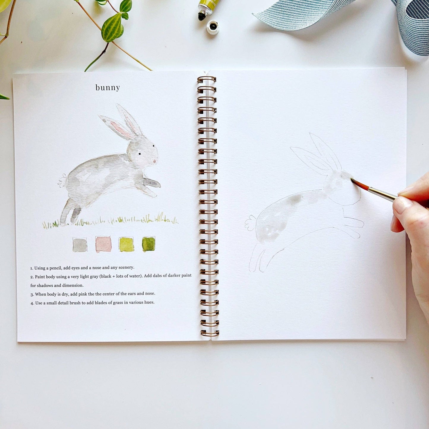 Animals watercolor workbook