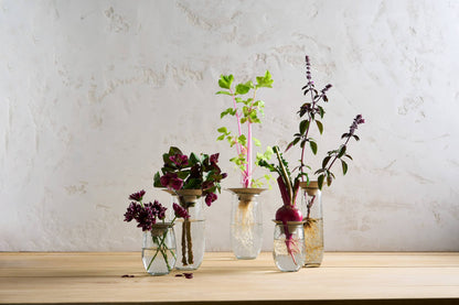 Floral Propogate Assorted
