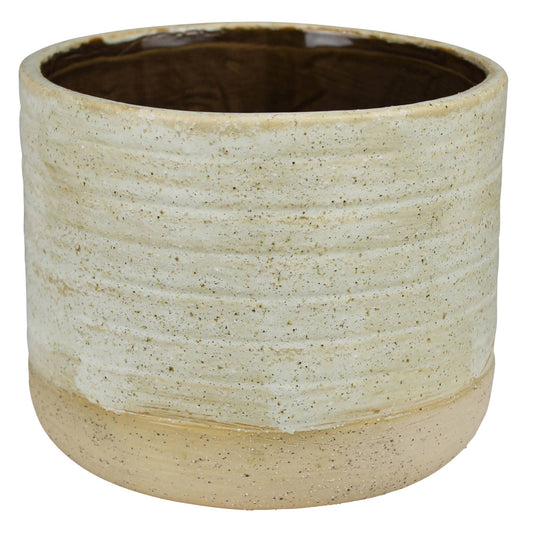 Umbria Cachepot with ficus, Ceramic, White - Lrg