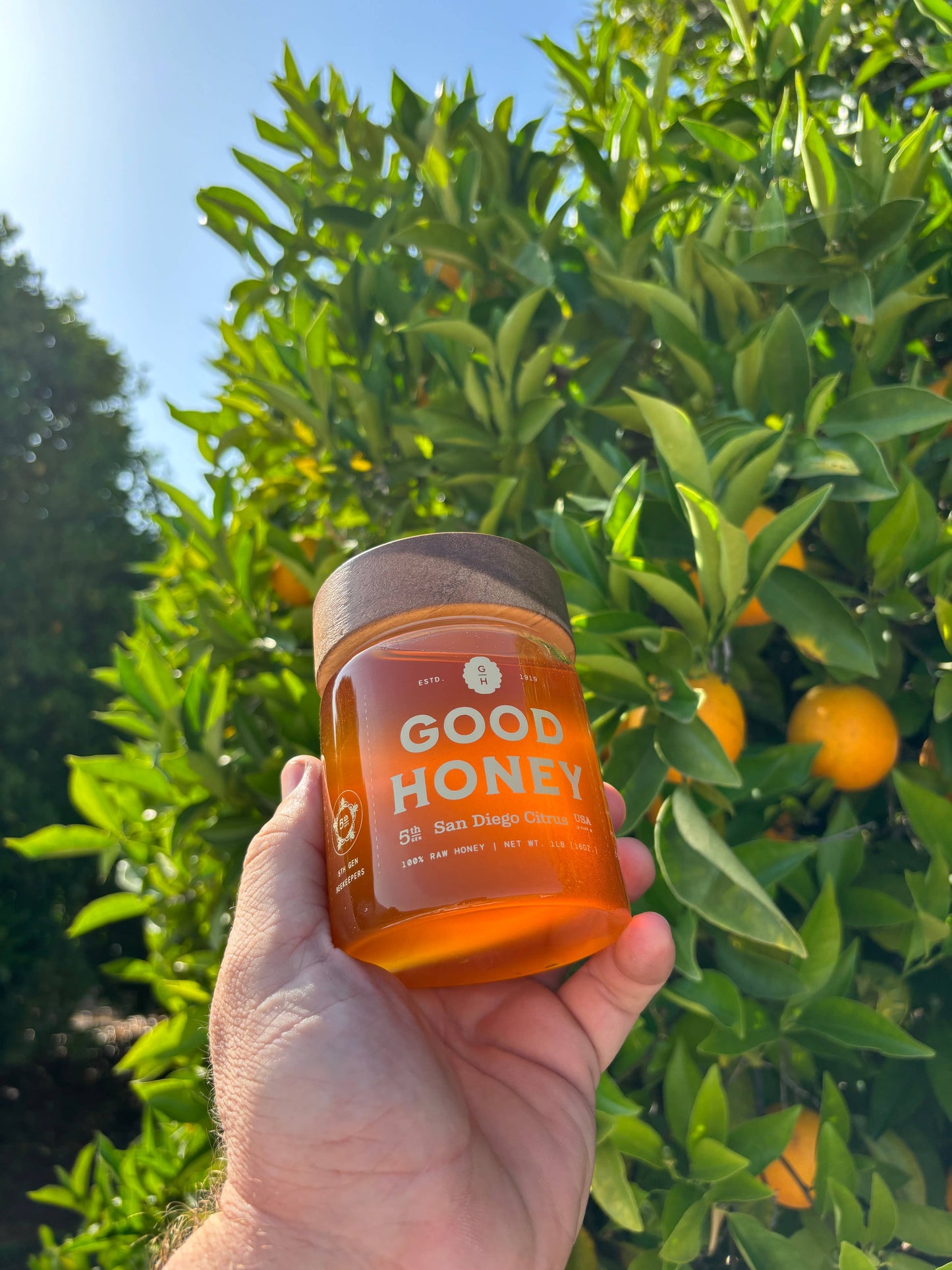 16oz San Diego Citrus Honey