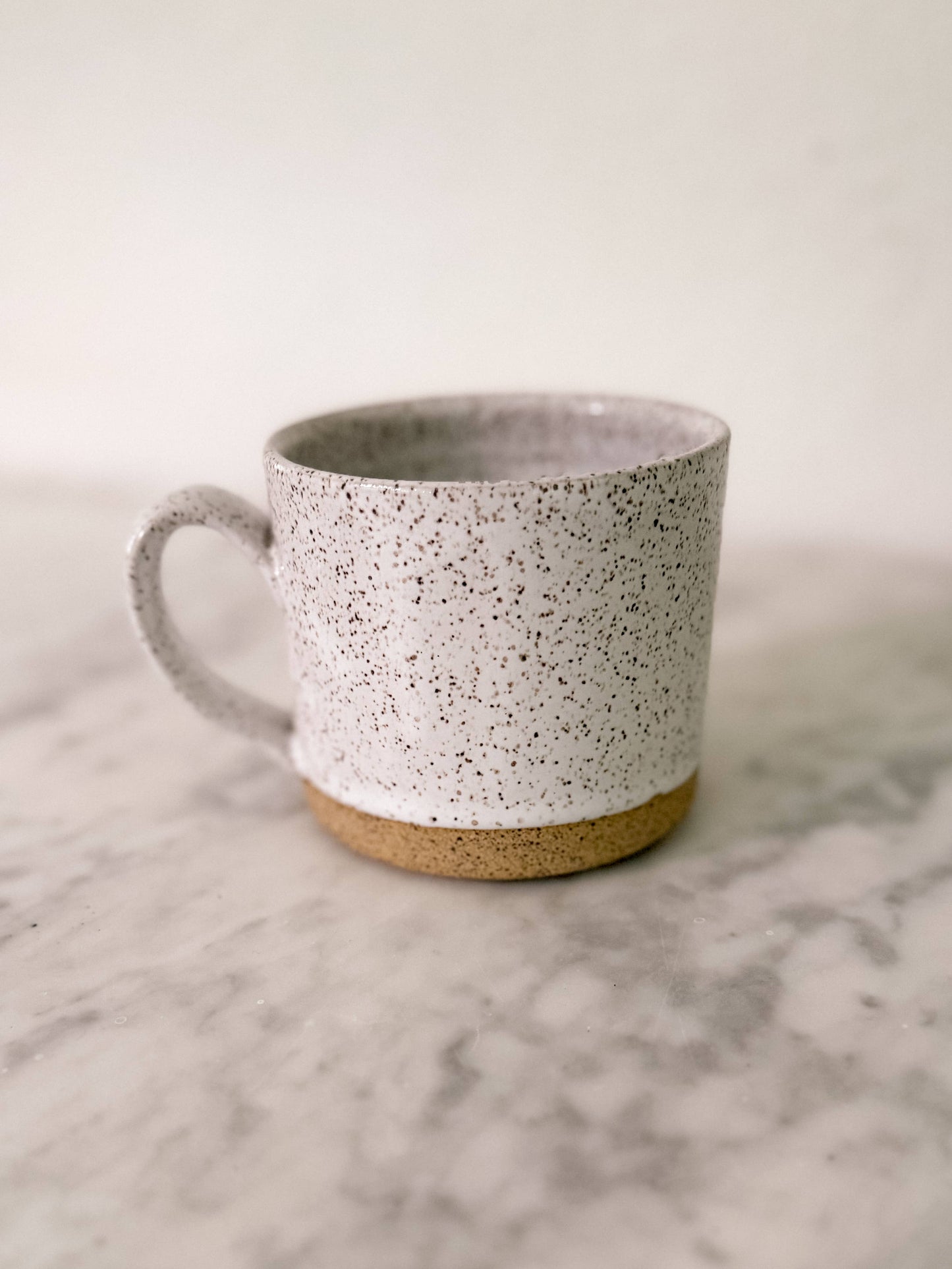 Matte Ceramic Speckle Mug