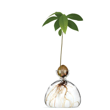 Avocado Vase