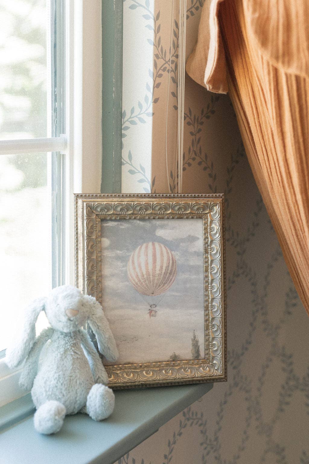 Hot Air Balloon
