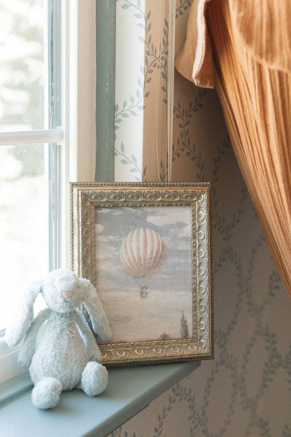Hot Air Balloon