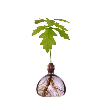Acorn Vase