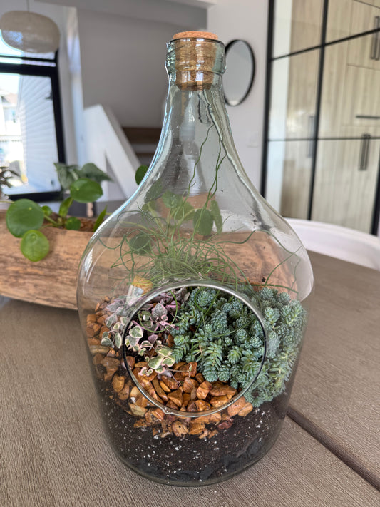 Terrarium Planted