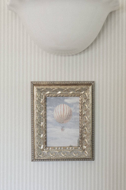 Hot Air Balloon