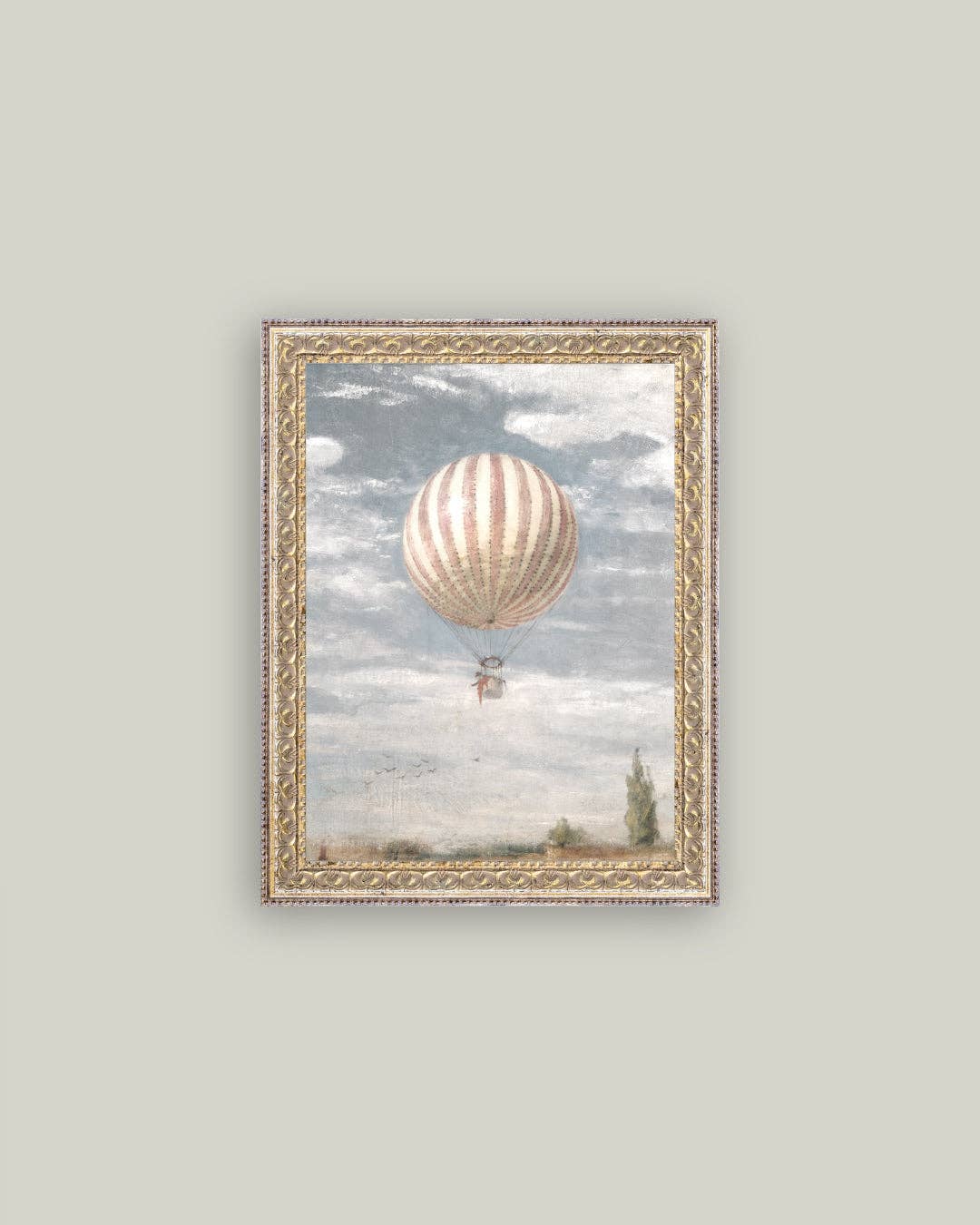 Hot Air Balloon