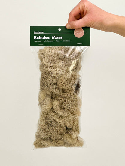 Preserved Reindeer Moss - 90g Bag
