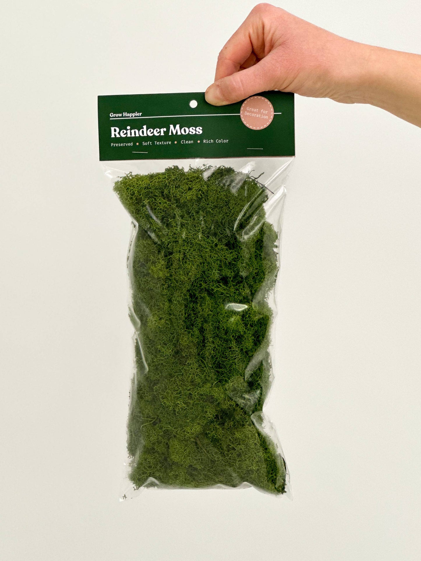 Preserved Reindeer Moss - 90g Bag
