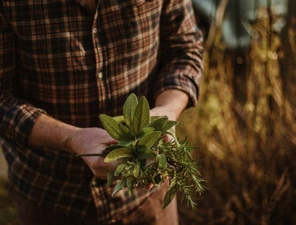 Garden Sage Hand Wash